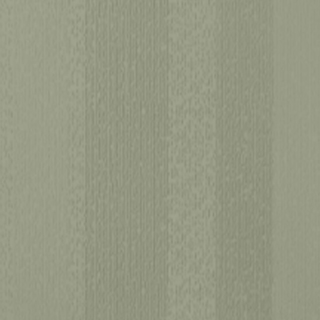 Picture of Johnsonite - Circulinity Fast Lane Gecko