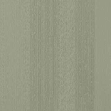 Picture of Johnsonite - Circulinity Fast Lane Gecko