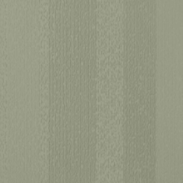 Picture of Johnsonite - Circulinity Fast Lane Gecko