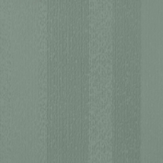 Picture of Johnsonite - Circulinity Fast Lane Green Vista