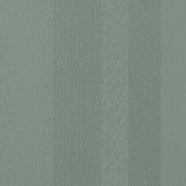 Picture of Johnsonite - Circulinity Fast Lane Green Vista