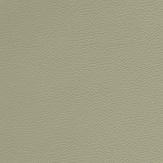 Picture of Johnsonite - Solid Colors Forged Gecko