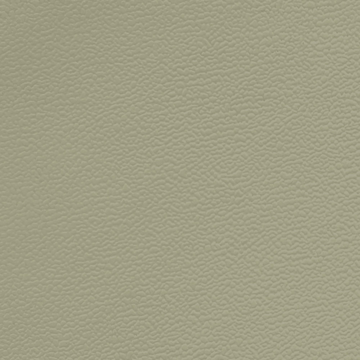 Picture of Johnsonite - Solid Colors Forged Gecko