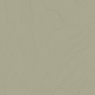 Picture of Johnsonite - Solid Colors Flagstone Gecko