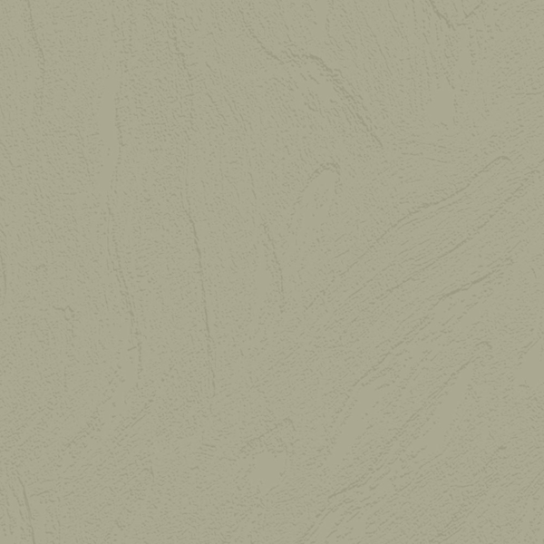 Picture of Johnsonite - Solid Colors Flagstone Gecko