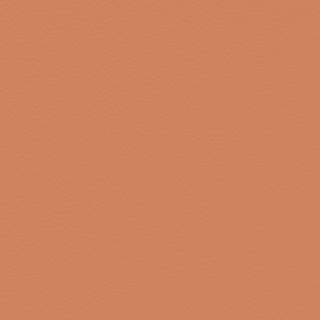 Picture of Johnsonite - Solid Colors Hammered Hot Spice