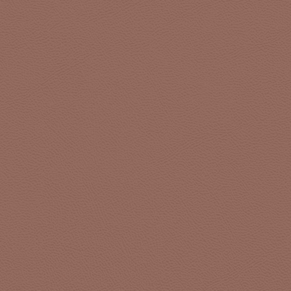 Picture of Johnsonite - Solid Colors Leather Misted Plum