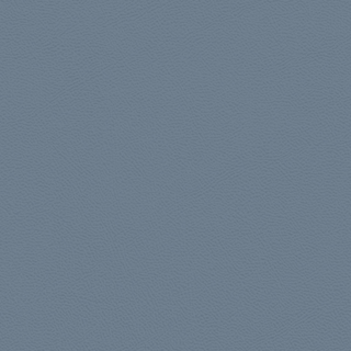 Picture of Johnsonite - Solid Colors Leather The Blues