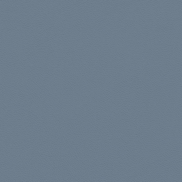 Picture of Johnsonite - Solid Colors Leather The Blues