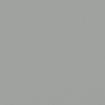 Picture of Johnsonite - Solid Colors Leather Green Smoke