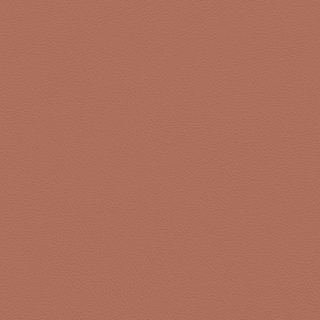 Picture of Johnsonite - Solid Colors Leather Sailor Red