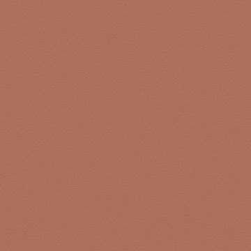 Picture of Johnsonite - Solid Colors Leather Sailor Red