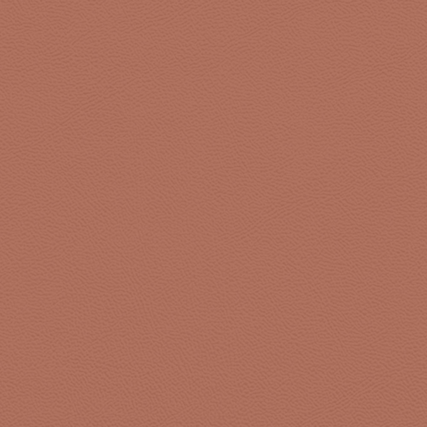 Picture of Johnsonite - Solid Colors Leather Sailor Red