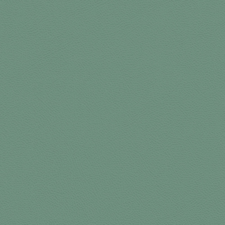 Picture of Johnsonite - Solid Colors Leather Grinch