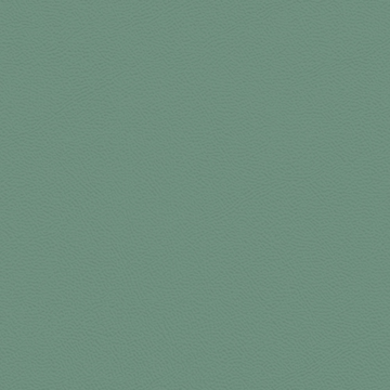 Picture of Johnsonite - Solid Colors Leather Grinch