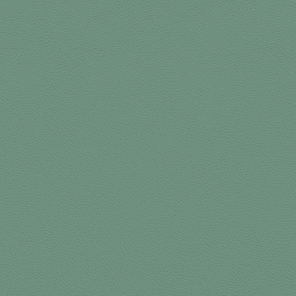 Picture of Johnsonite - Solid Colors Leather Grinch