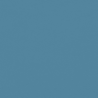 Picture of Johnsonite - Solid Colors Leather Dream Teal