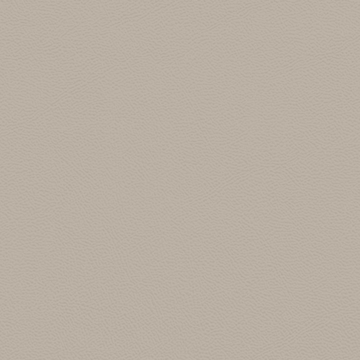 Picture of Johnsonite - Solid Colors Leather Harvest Time