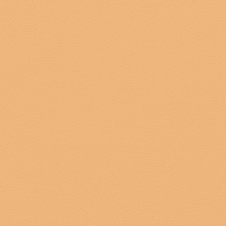 Picture of Johnsonite - Solid Colors Leather Mr Sunshine