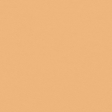 Picture of Johnsonite - Solid Colors Leather Mr Sunshine