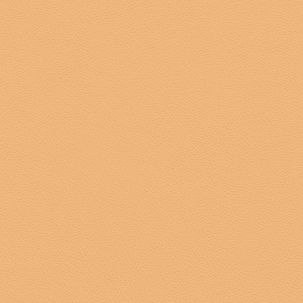 Picture of Johnsonite - Solid Colors Leather Mr Sunshine