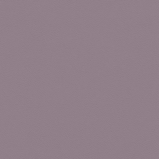 Picture of Johnsonite - Solid Colors Leather Shoreline Purple