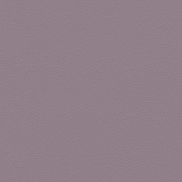 Picture of Johnsonite - Solid Colors Leather Shoreline Purple