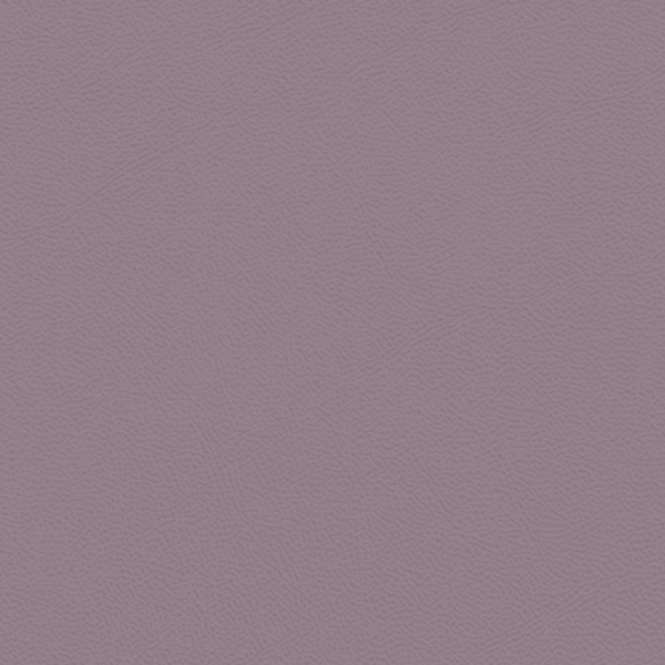 Picture of Johnsonite - Solid Colors Leather Shoreline Purple