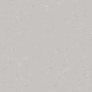 Picture of Johnsonite - Solid Colors Leather Whispering Mist