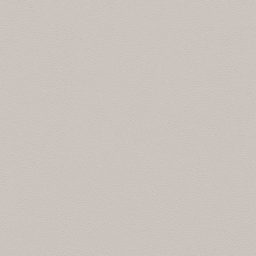 Picture of Johnsonite - Solid Colors Leather Whispering Mist