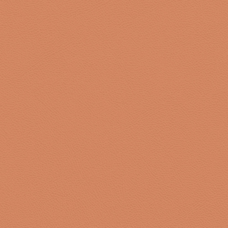 Picture of Johnsonite - Solid Colors Leather Hot Spice