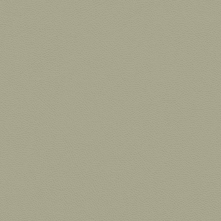 Picture of Johnsonite - Solid Colors Leather Gecko