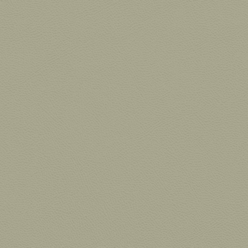 Picture of Johnsonite - Solid Colors Leather Gecko
