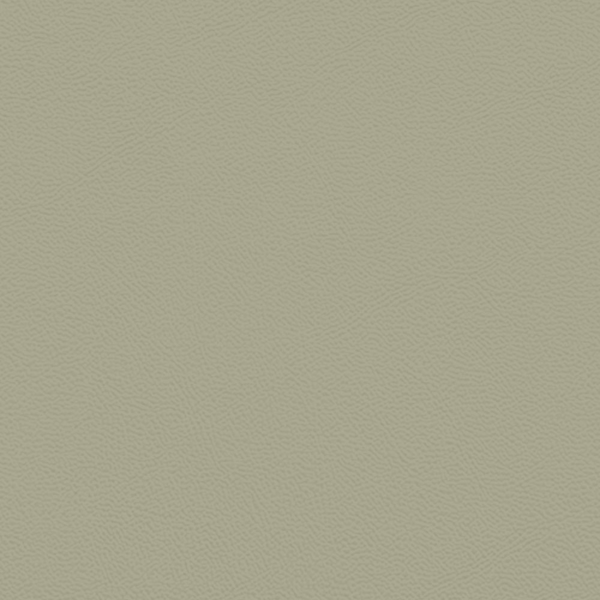 Picture of Johnsonite - Solid Colors Leather Gecko