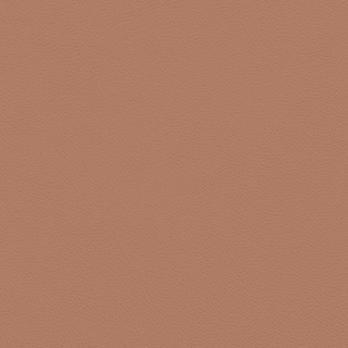 Picture of Johnsonite - Solid Colors Leather Red Clay