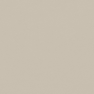 Picture of Johnsonite - Solid Colors Leather Sandstorm