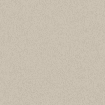 Picture of Johnsonite - Solid Colors Leather Sandstorm