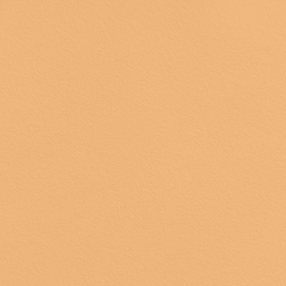 Picture of Johnsonite - Solid Colors Rice Paper Mr Sunshine