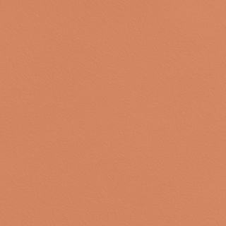 Picture of Johnsonite - Solid Colors Rice Paper Hot Spice