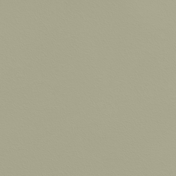 Picture of Johnsonite - Solid Colors Rice Paper Gecko