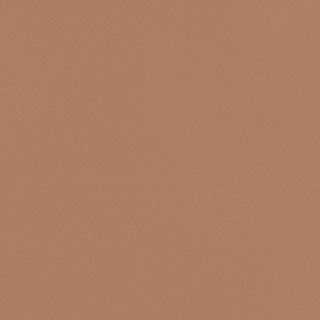 Picture of Johnsonite - Solid Colors Rice Paper Red Clay