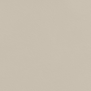Picture of Johnsonite - Solid Colors Rice Paper Sandstorm