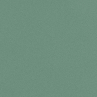 Picture of Johnsonite - Solid Colors Rice Paper Grinch