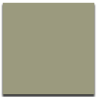 Picture of Johnsonite - Solid Colors Smooth 12 x 12 Gecko
