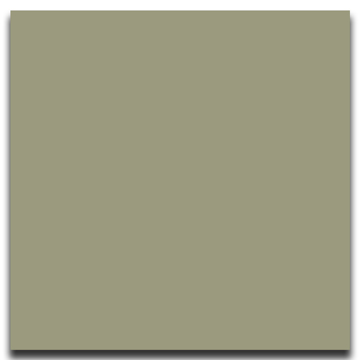 Picture of Johnsonite - Solid Colors Smooth 12 x 12 Gecko