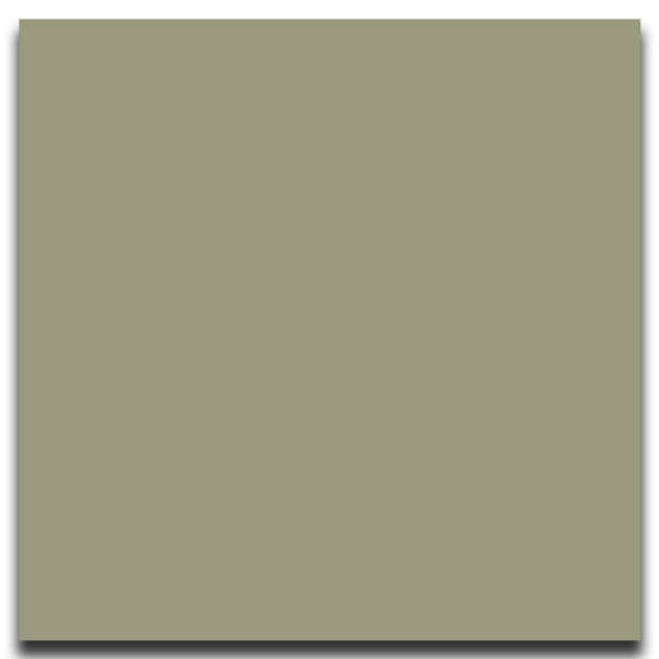 Picture of Johnsonite - Solid Colors Smooth 12 x 12 Gecko