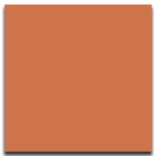 Picture of Johnsonite - Solid Colors Smooth 12 x 12 Hot Spice