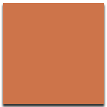 Picture of Johnsonite - Solid Colors Smooth 12 x 12 Hot Spice