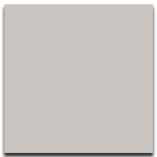 Picture of Johnsonite - Solid Colors Smooth 12 x 12 Mt Rainier