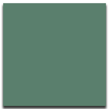 Picture of Johnsonite - Solid Colors Smooth 12 x 12 Grinch